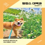 멍캉스 대백과 [프렌즈 테마여행 시리즈 : 03]